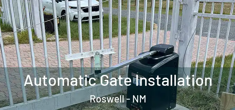 Automatic Gate Installation Roswell - NM