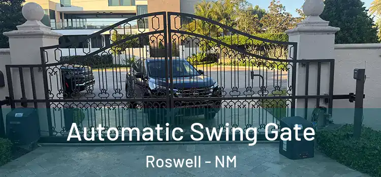 Automatic Swing Gate Roswell - NM
