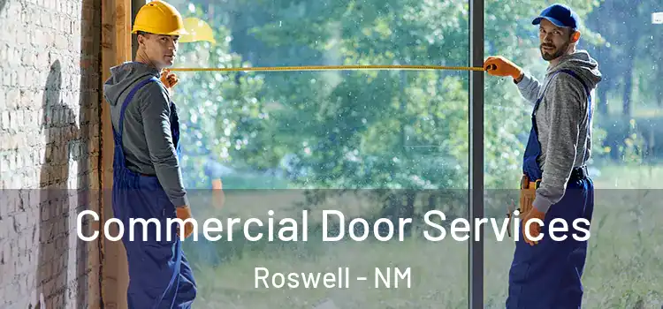Commercial Door Services Roswell - NM