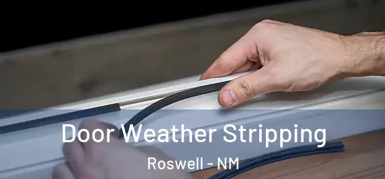 Door Weather Stripping Roswell - NM