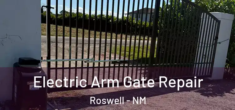 Electric Arm Gate Repair Roswell - NM