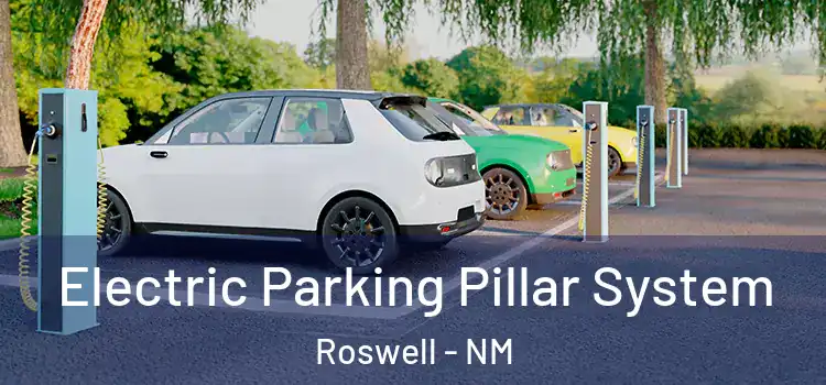 Electric Parking Pillar System Roswell - NM