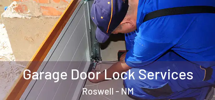 Garage Door Lock Services Roswell - NM