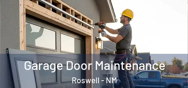 Garage Door Maintenance Roswell - NM
