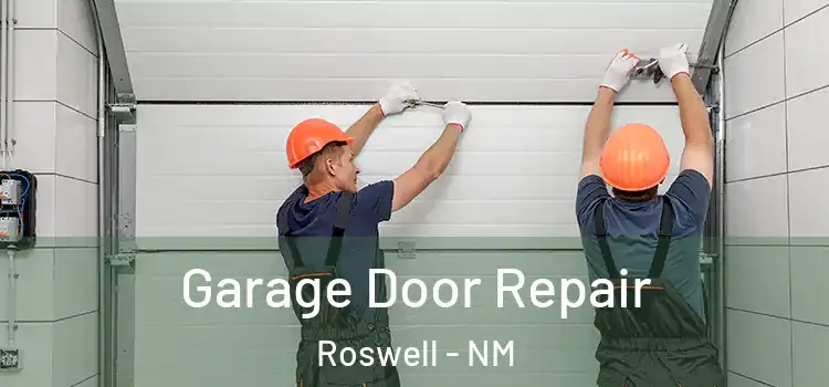  Garage Door Repair Roswell - NM