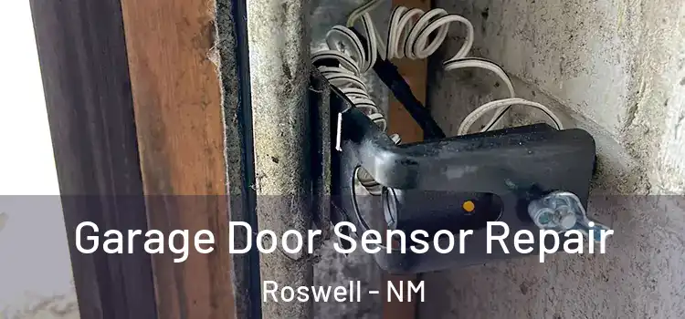 Garage Door Sensor Repair Roswell - NM