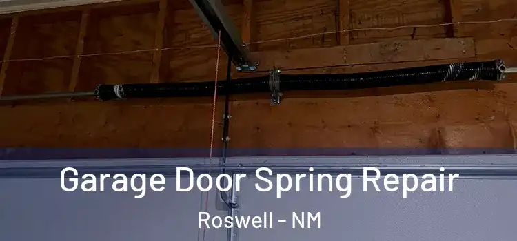  Garage Door Spring Repair Roswell - NM
