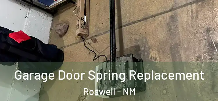 Garage Door Spring Replacement Roswell - NM