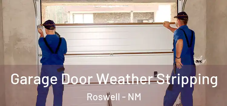  Garage Door Weather Stripping Roswell - NM