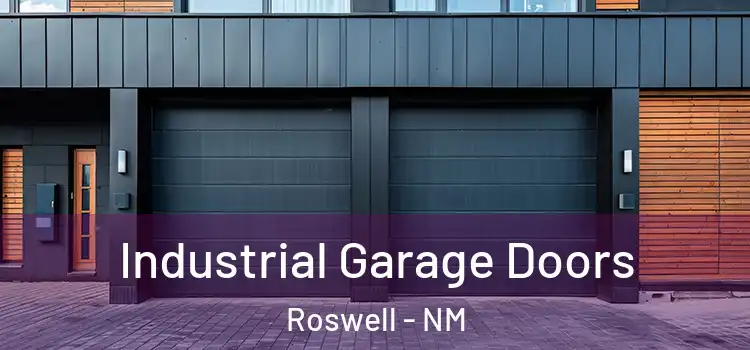  Industrial Garage Doors Roswell - NM