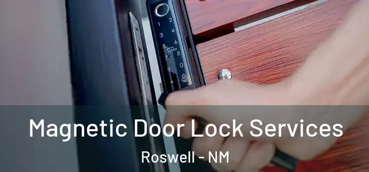 Magnetic Door Lock Services Roswell - NM