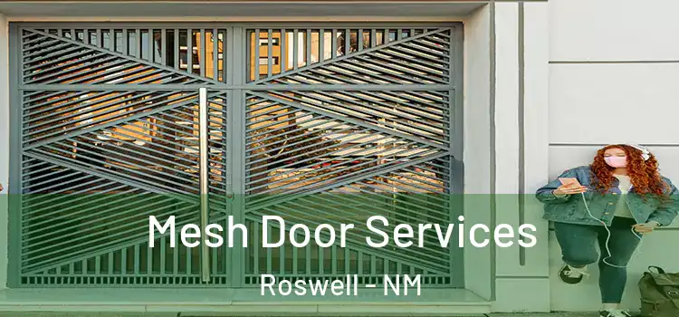 Mesh Door Services Roswell - NM