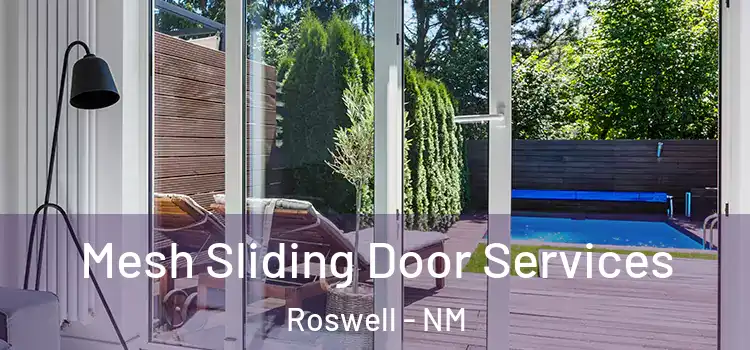 Mesh Sliding Door Services Roswell - NM