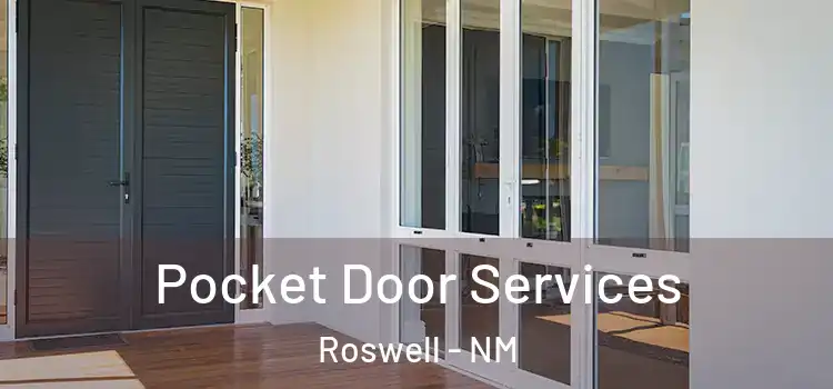 Pocket Door Services Roswell - NM