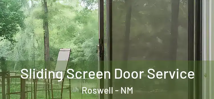 Sliding Screen Door Service Roswell - NM